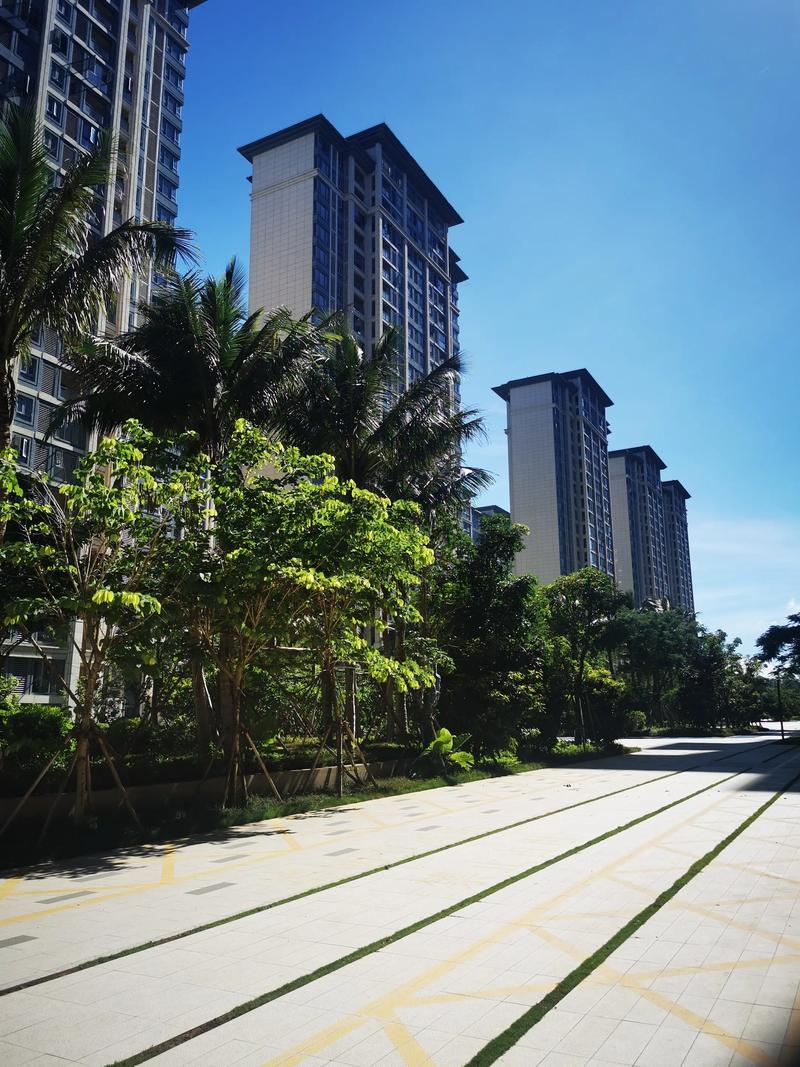 海口龙华区房产中介：解读市场动态